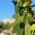 Lejlighed Masseria Serafino Ostuni