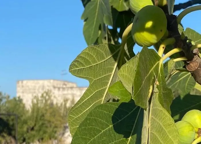 Apartamento Masseria Serafino Ostuni